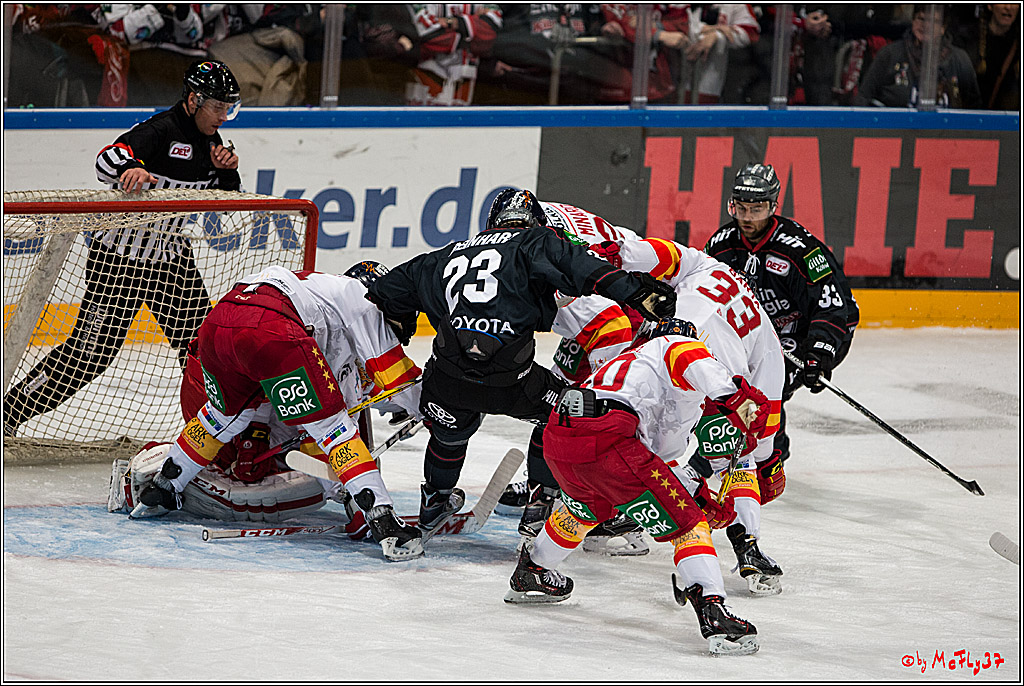 Koelner Haie - Duesseldorfer EG, 18.12.2016
